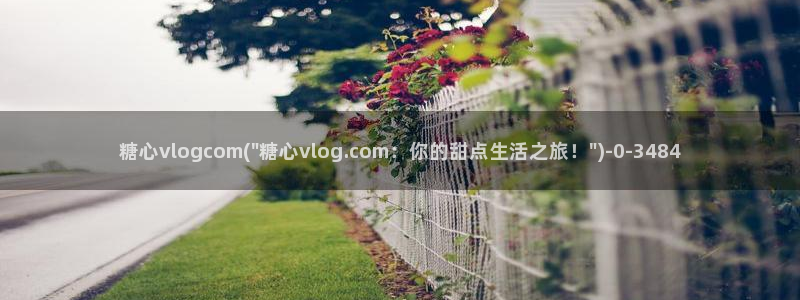 糖心vlog破解教程