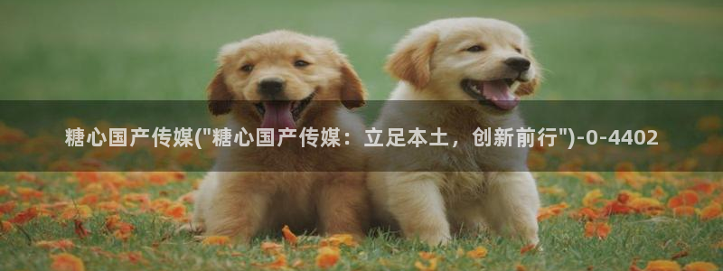 创可贴糖心vlog在线观看免费