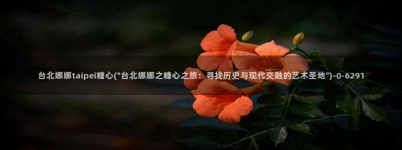 心糖vlog免费版