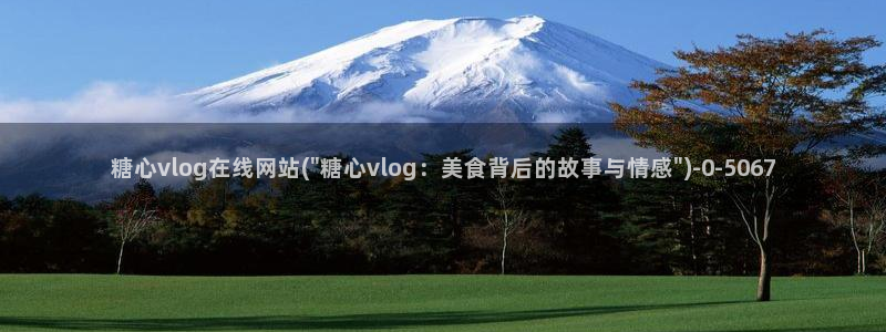 糖心vlog视频在线播放观看