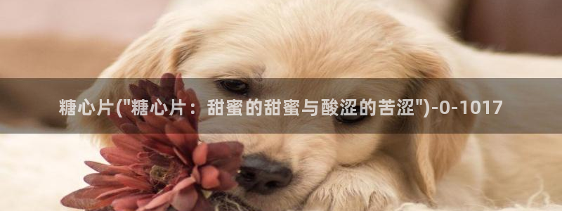 糖心vlog柚子猫内射