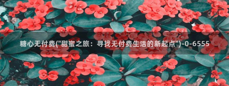 糖心vlog