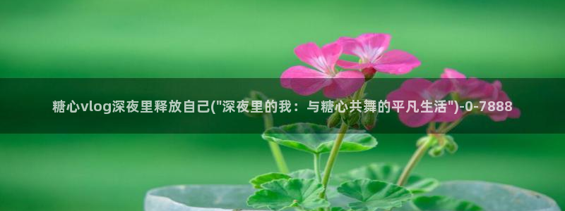 糖心vlog最新破解版