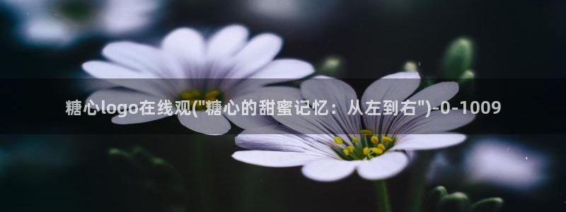 心糖vlog免费版