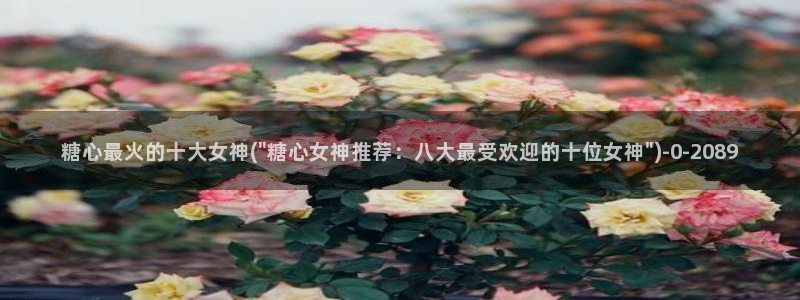 糖心vlog破解板