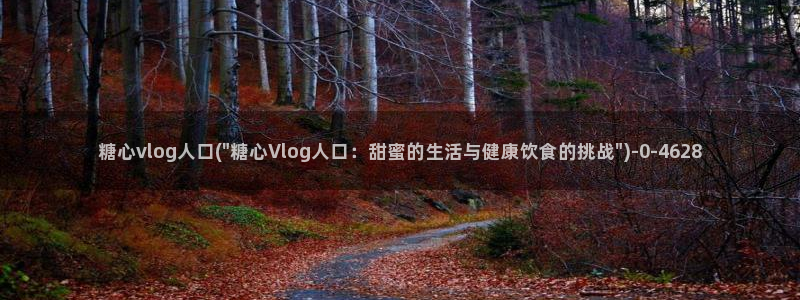 糖心vlog18