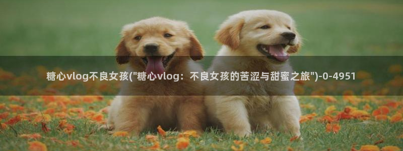 糖心vlog最新免费版内容