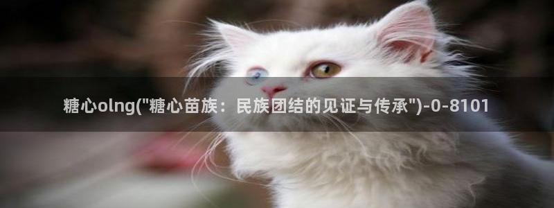 糖心视频vlog在线播放