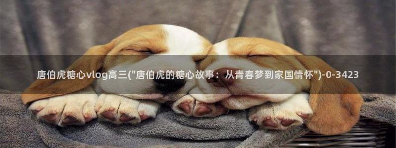 糖心vlog在线观看免费