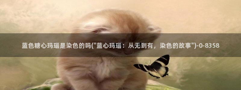 心糖vlog破解版入口