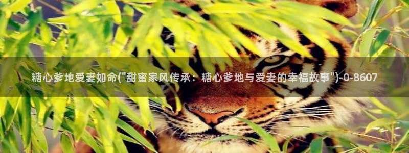lingxi糖心vlog