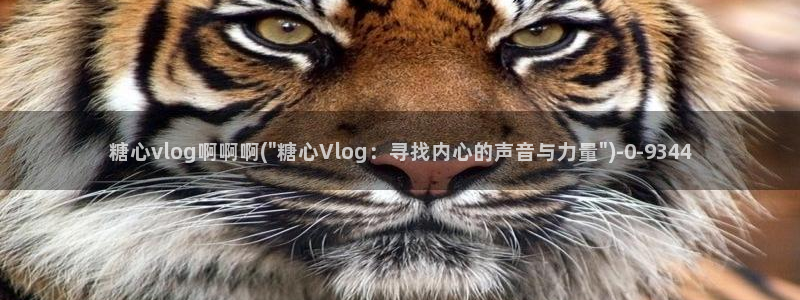 糖心vlog官网版下载